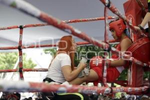 TORNEO DE LOS BARRIOS DE BOX