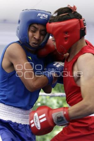 TORNEO DE LOS BARRIOS DE BOX