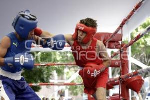 TORNEO DE LOS BARRIOS DE BOX