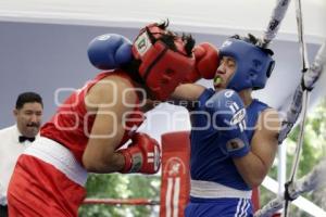 TORNEO DE LOS BARRIOS DE BOX