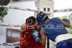 TORNEO DE LOS BARRIOS DE BOX