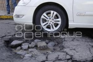 BACHES