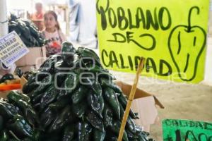 UPVA . CHILES EN NOGADA
