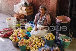 UPVA . CHILES EN NOGADA