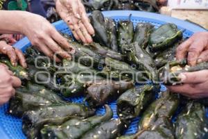 UPVA . CHILES EN NOGADA