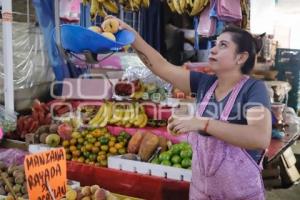 UPVA . CHILES EN NOGADA