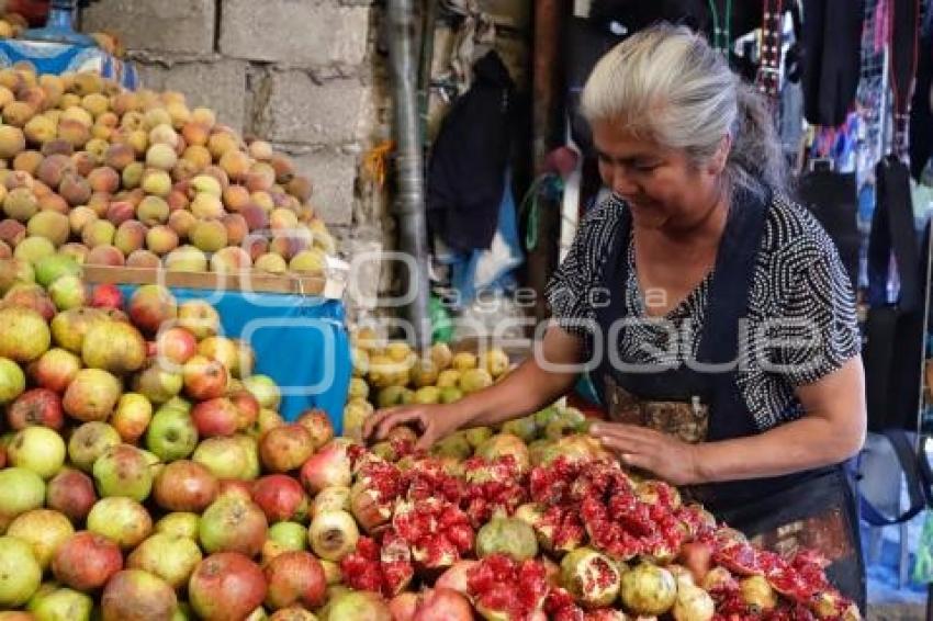 UPVA . CHILES EN NOGADA