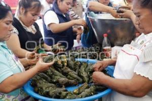 UPVA . CHILES EN NOGADA