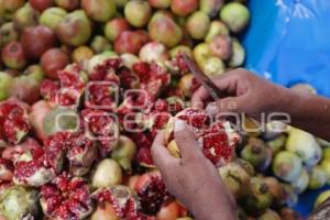 UPVA . CHILES EN NOGADA