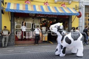 MANIFESTACIÓN PRO ANIMALES