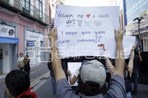 MANIFESTACIÓN PRO ANIMALES