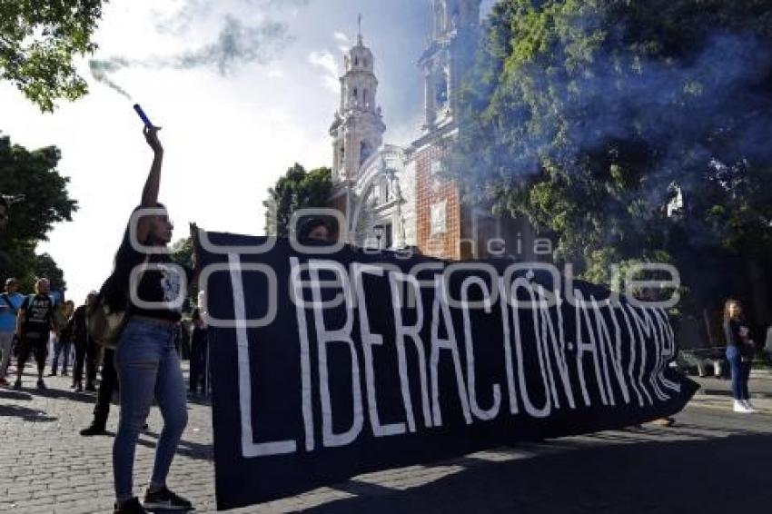 MANIFESTACIÓN PRO ANIMALES