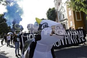 MANIFESTACIÓN PRO ANIMALES