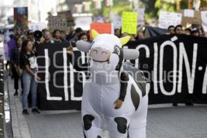 MANIFESTACIÓN PRO ANIMALES