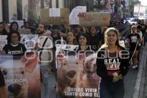 MANIFESTACIÓN PRO ANIMALES