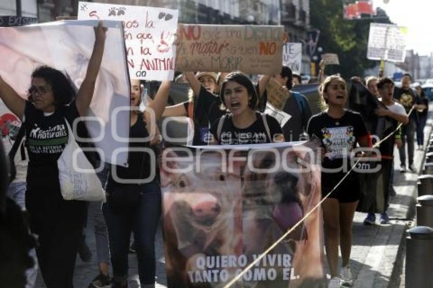 MANIFESTACIÓN PRO ANIMALES