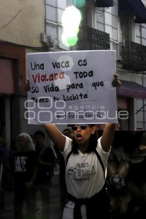 MANIFESTACIÓN PRO ANIMALES