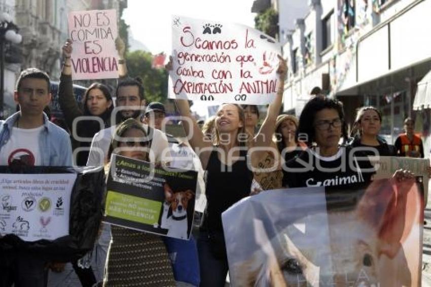 MANIFESTACIÓN PRO ANIMALES