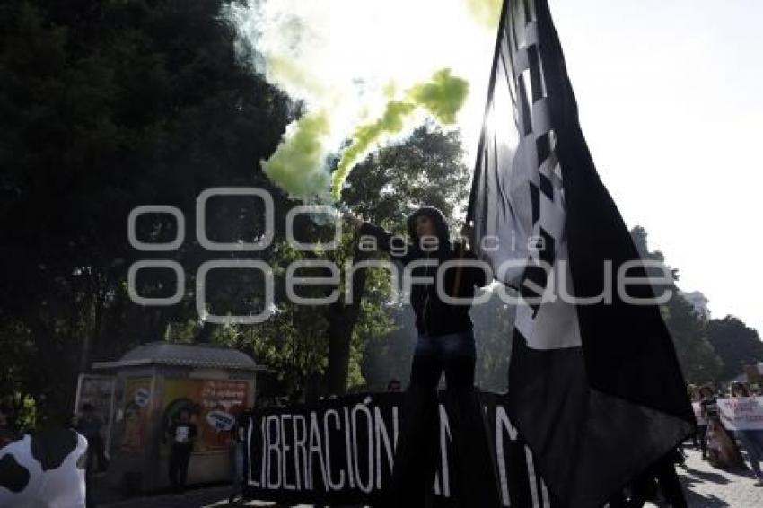 MANIFESTACIÓN PRO ANIMALES