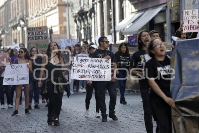 MANIFESTACIÓN PRO ANIMALES