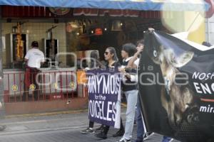 MANIFESTACIÓN PRO ANIMALES