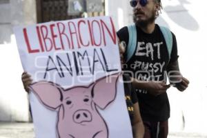 MANIFESTACIÓN PRO ANIMALES