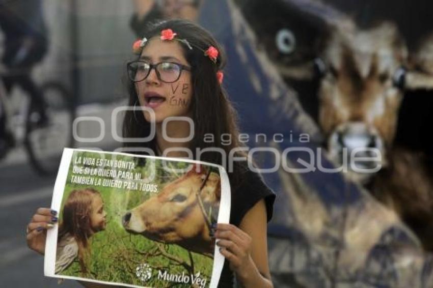 MANIFESTACIÓN PRO ANIMALES