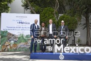 VW . POR AMOR A MÉXICO