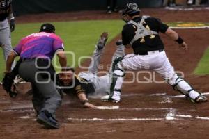 BEISBOL . PERICOS VS LEONES