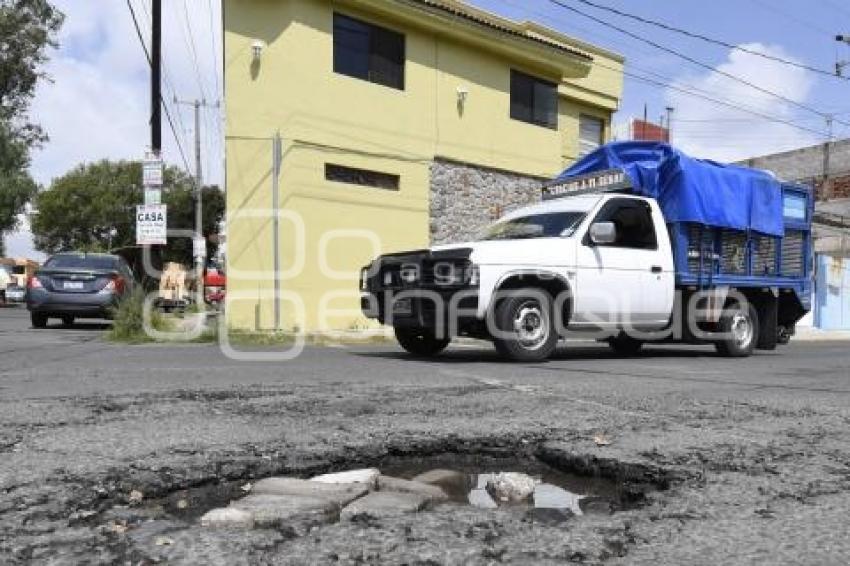 BACHES