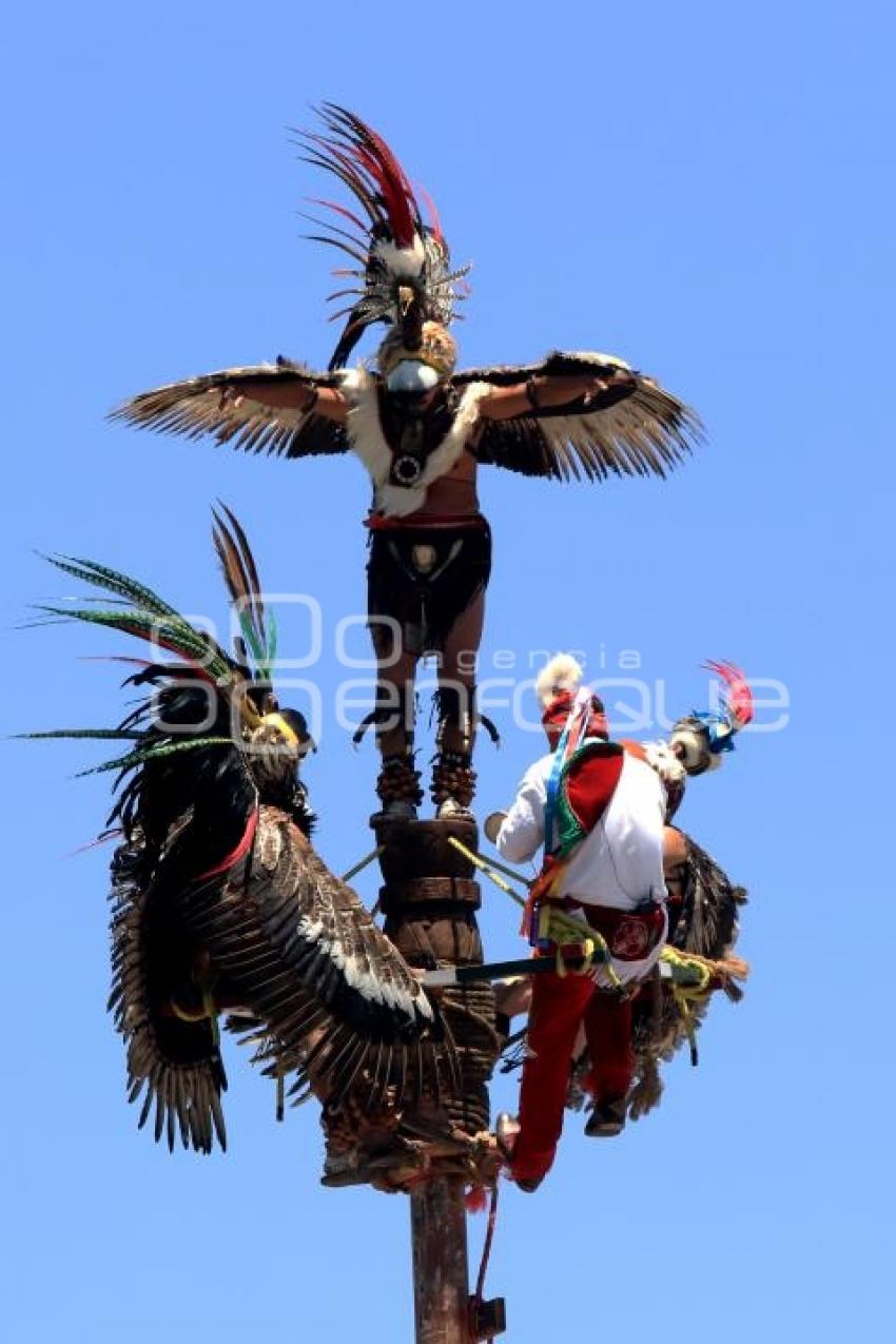 ATLIXCAYOTONTLI 2019