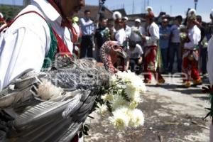 CUETZALAN . RITUAL COLOCACIÓN TRONCO