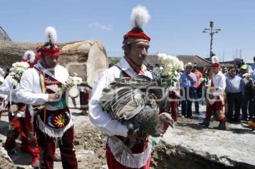 CUETZALAN . RITUAL COLOCACIÓN TRONCO