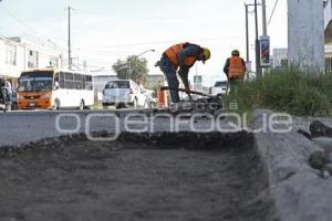 BACHEO