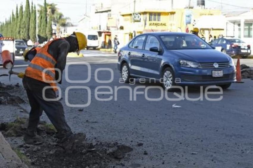 BACHEO