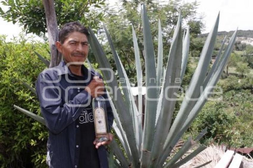 RUTA MEZCALERA