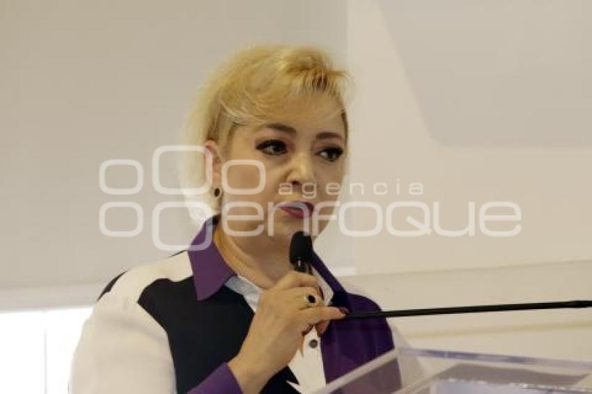 CONGRESO . COMISIÓN PERMANENTE
