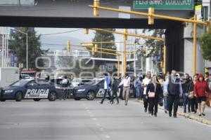 MANIFESTACIÓN 11 SUR