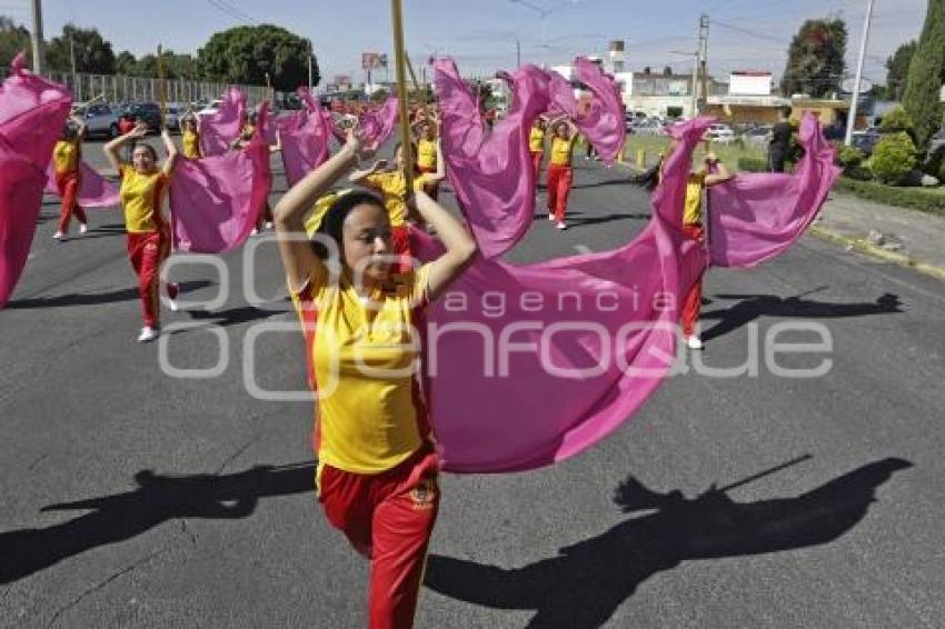 DESFILE . PASE DE REVISTA