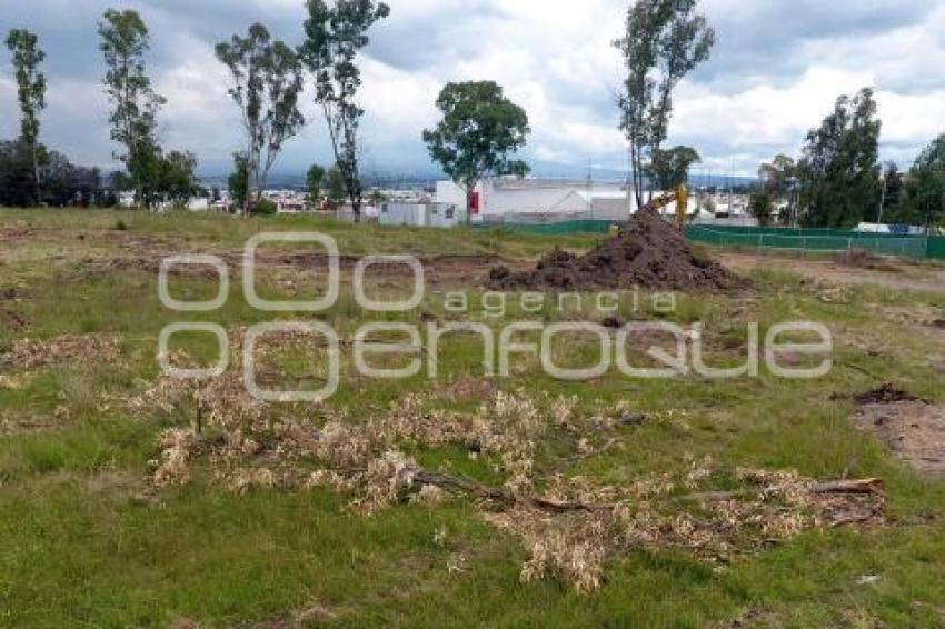 CERRO AMALUCAN . OBRA INMOBILARIA