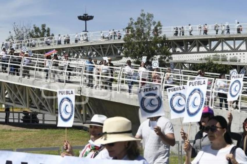 MARCHA ANTI AMLO