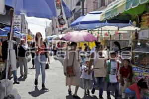 FIESTAS PATRIAS . VENDIMIA