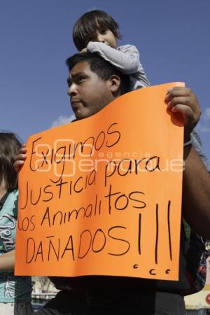 MANIFESTACIÓN . MALTRATO ANIMAL