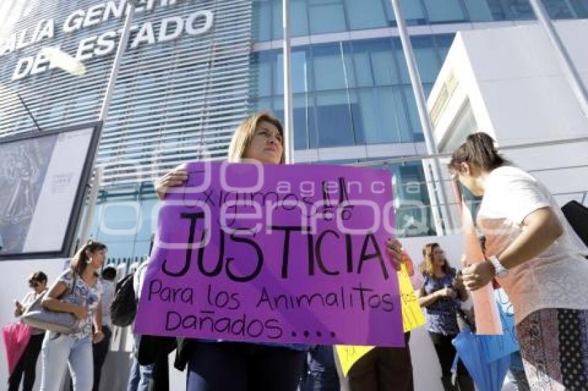 MANIFESTACIÓN . MALTRATO ANIMAL