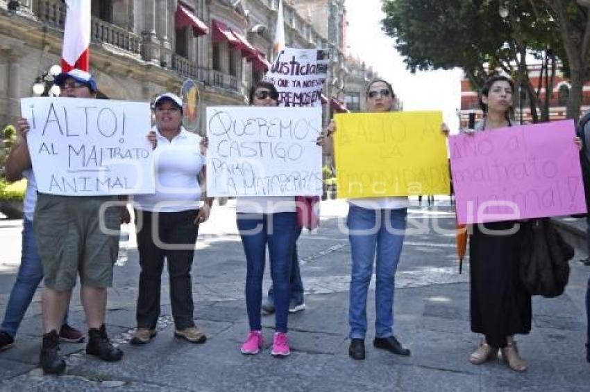 MANIFESTACIÓN . MATAPERROS