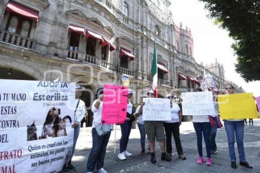 MANIFESTACIÓN . MATAPERROS