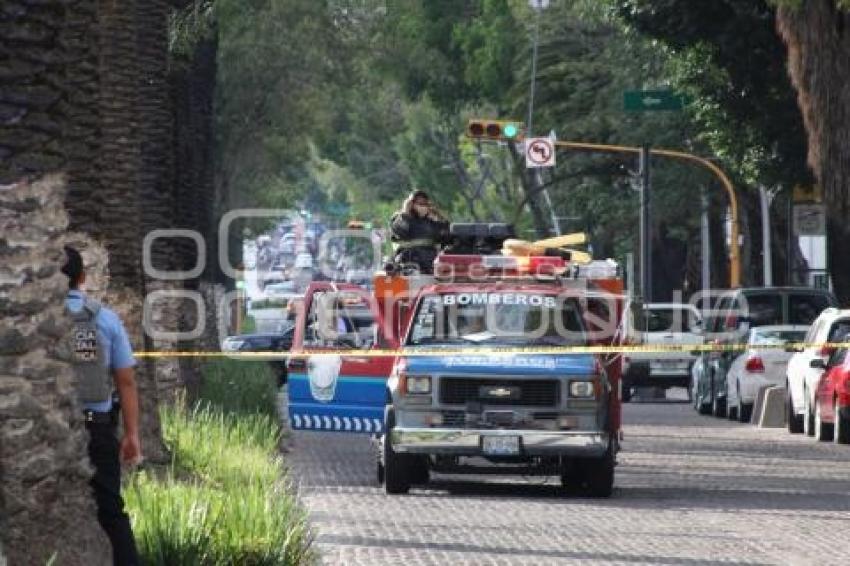 FUGA DE GAS . AVENIDA JUÁREZ