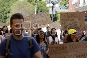 MANIFESTACIÓN CALENTAMIENTO GLOBAL