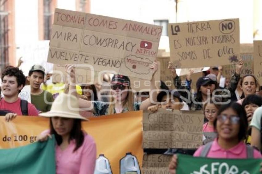 MANIFESTACIÓN CALENTAMIENTO GLOBAL