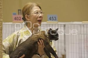 UPAEP . EXPOSICIÓN FELINA